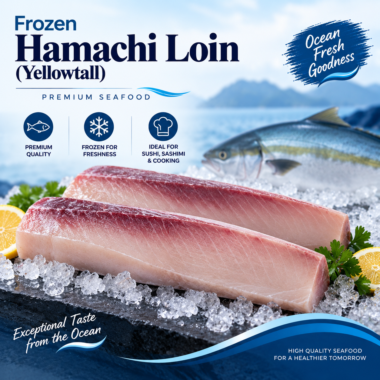 Frozen Hamachi Loin (Yellowtail)